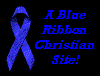 Blue Ribbon Award